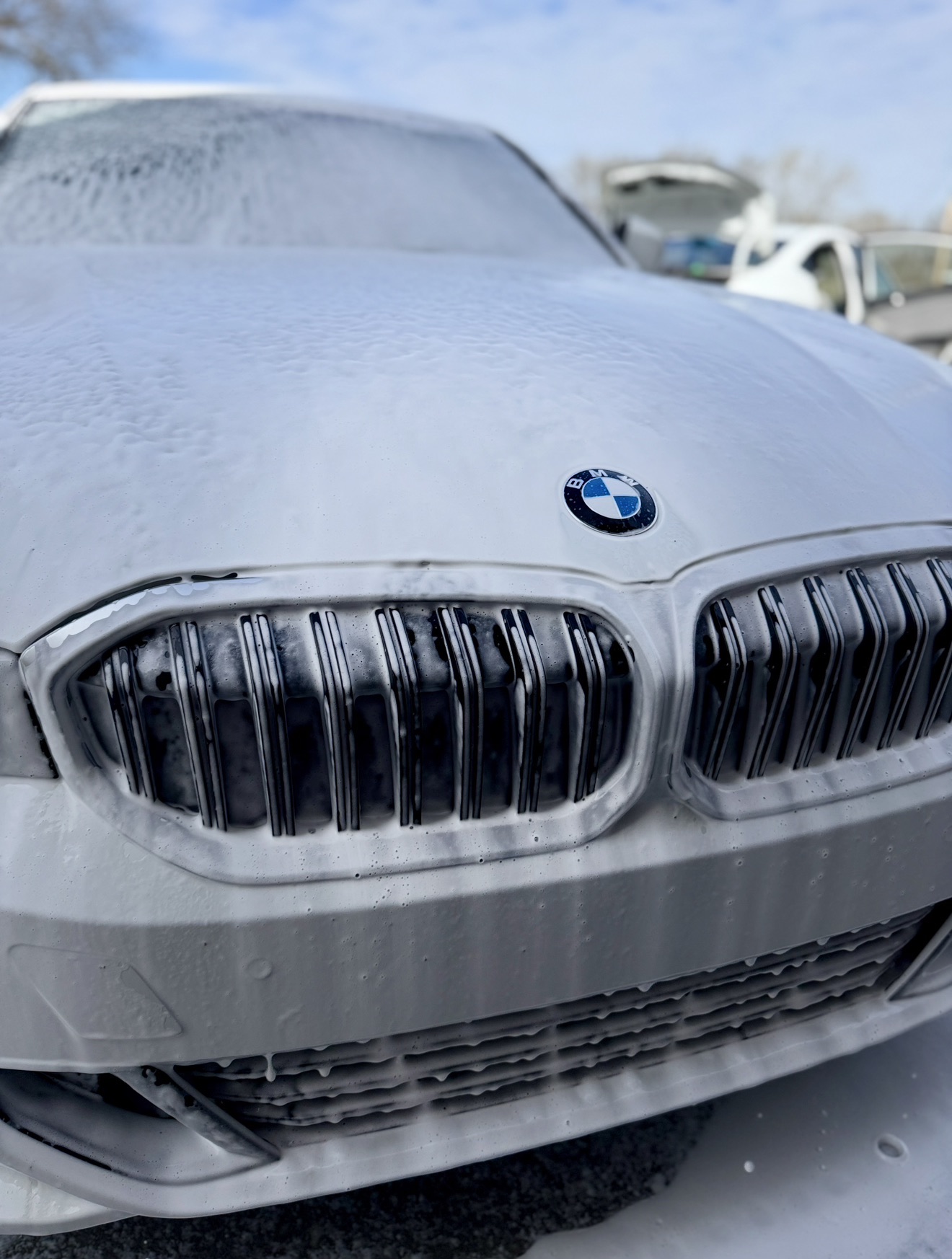 BMW M-Series Paint Preservation